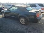 2005 Ford Mustang