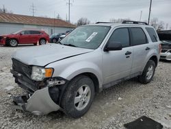 Salvage cars for sale at Columbus, OH auction: 2011 Ford Escape XLT