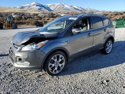 Salvage cars for sale from Copart Reno, NV: 2014 Ford Escape Titanium