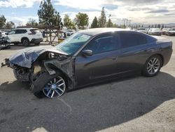 Salvage cars for sale from Copart Rancho Cucamonga, CA: 2016 Dodge Charger SXT