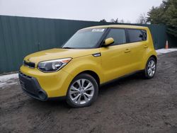 Salvage cars for sale at Finksburg, MD auction: 2015 KIA Soul +