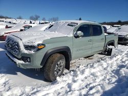 Salvage cars for sale at West Warren, MA auction: 2023 Toyota Tacoma Double Cab