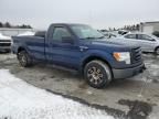 2009 Ford F150