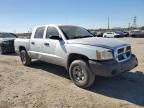 2007 Dodge Dakota Quattro