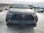 2024 Toyota Highlander Hybrid XLE