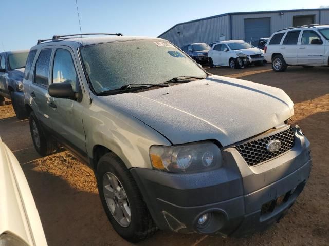 2005 Ford Escape XLT