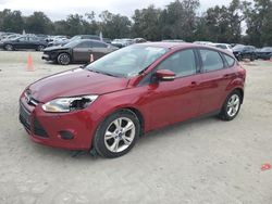 Salvage cars for sale at Ocala, FL auction: 2013 Ford Focus SE