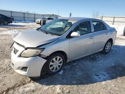 Toyota salvage cars for sale: 2010 Toyota Corolla Base