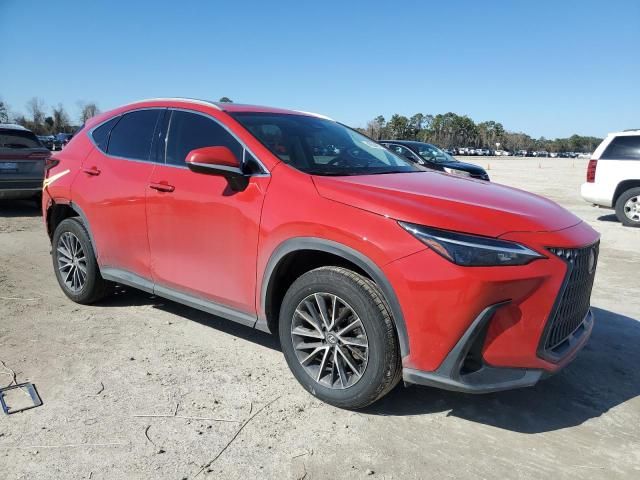 2024 Lexus NX 250 Premium