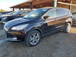 Salvage Cars with No Bids Yet For Sale at auction: 2013 Ford Escape SEL