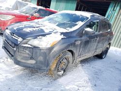 SUV salvage a la venta en subasta: 2015 Ford Escape SE