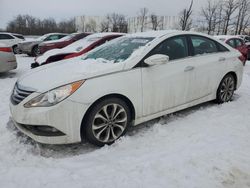 Hyundai Sonata se salvage cars for sale: 2014 Hyundai Sonata SE