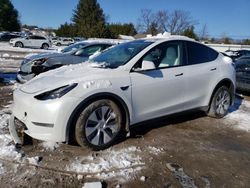 Tesla salvage cars for sale: 2024 Tesla Model Y