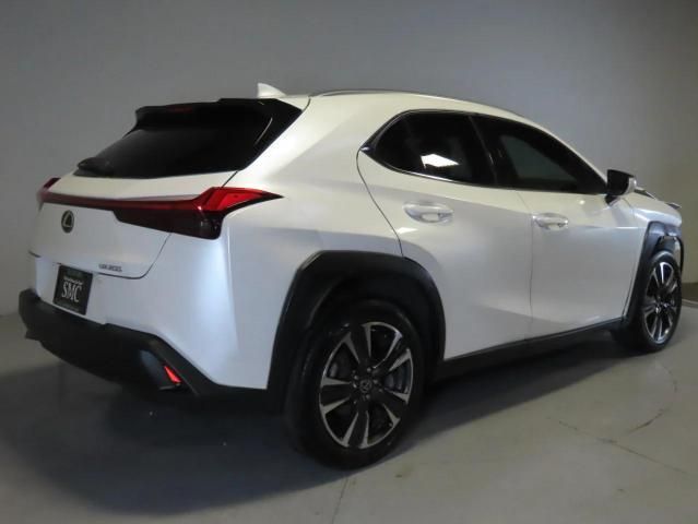 2019 Lexus UX 200