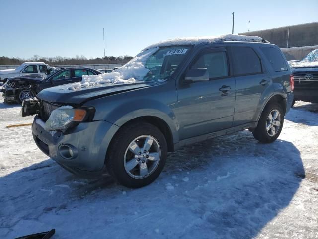 2011 Ford Escape Limited