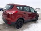 2014 Ford Escape S