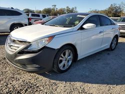 Vehiculos salvage en venta de Copart Riverview, FL: 2013 Hyundai Sonata SE