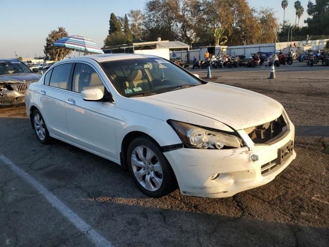 2009 Honda Accord EXL