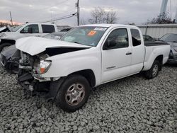 Salvage cars for sale from Copart Windsor, NJ: 2009 Toyota Tacoma Access Cab