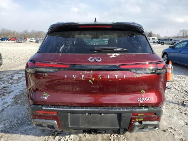 2024 Infiniti QX60 Autograph