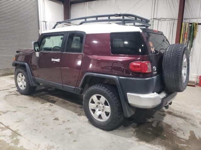 2007 Toyota FJ Cruiser