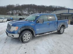 Ford f150 Supercrew Vehiculos salvage en venta: 2012 Ford F150 Supercrew