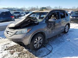 Salvage cars for sale at Louisville, KY auction: 2012 Honda CR-V EXL