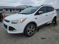 Ford salvage cars for sale: 2014 Ford Escape SE