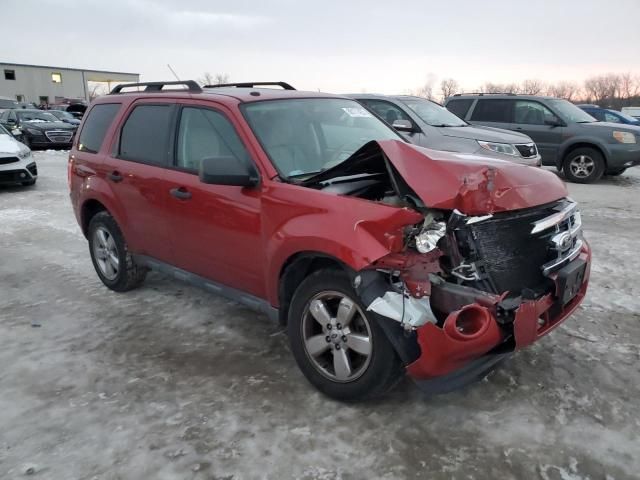 2012 Ford Escape XLT