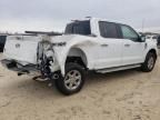 2024 Ford F150 XLT