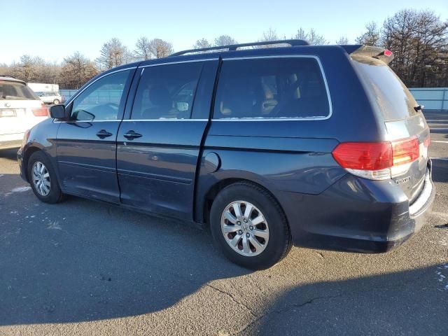 2010 Honda Odyssey EXL