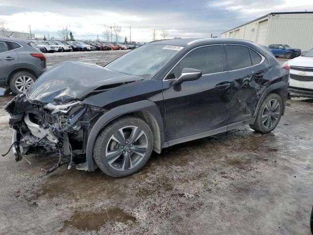 2019 Lexus UX 250H