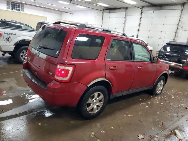 2011 Ford Escape Limited