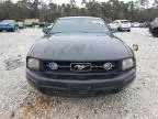 2008 Ford Mustang