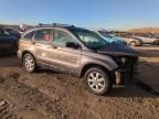 2009 Honda CR-V EX