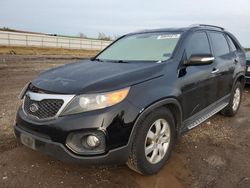 Salvage cars for sale at Houston, TX auction: 2012 KIA Sorento Base