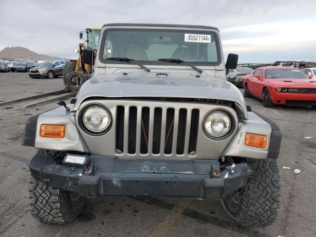 2002 Jeep Wrangler / TJ X