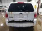 2011 Ford Escape XLS