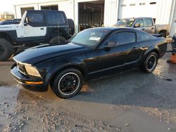 Muscle Cars for sale at auction: 2005 Ford Mustang