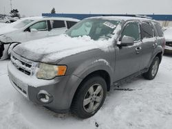 Salvage cars for sale from Copart Woodhaven, MI: 2009 Ford Escape Limited