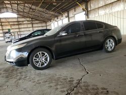 Salvage cars for sale at Phoenix, AZ auction: 2010 Acura TL