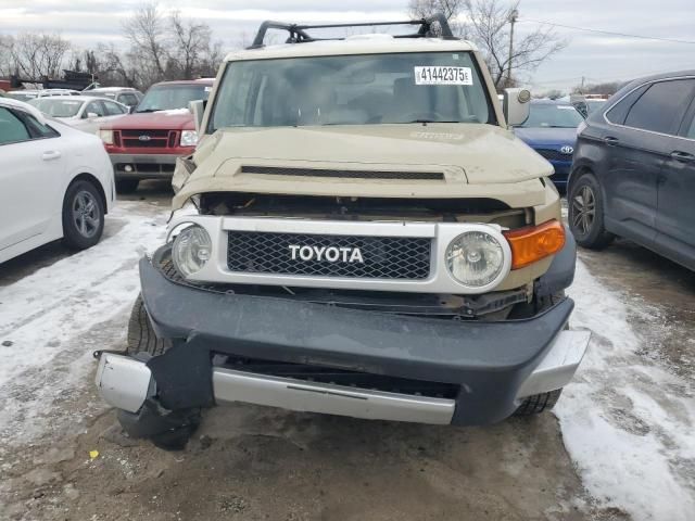 2013 Toyota FJ Cruiser