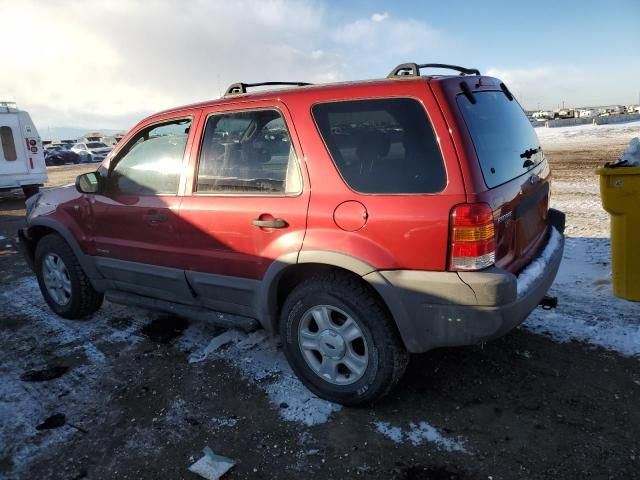 2001 Ford Escape XLT