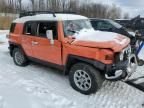 2013 Toyota FJ Cruiser