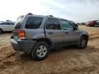 2007 Ford Escape XLT