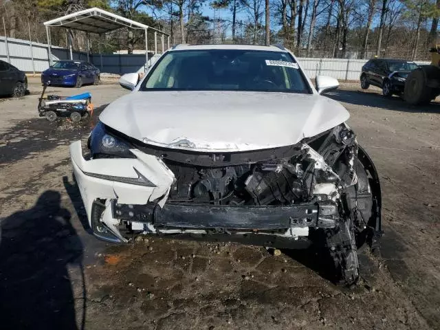 2020 Lexus NX 300H