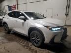 2024 Lexus NX 350 Base