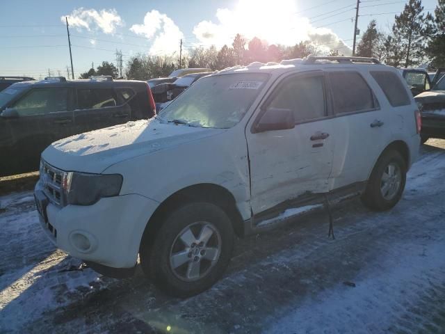 2010 Ford Escape XLT