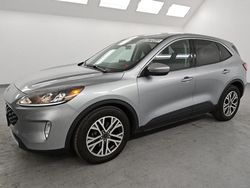 Salvage cars for sale at Van Nuys, CA auction: 2022 Ford Escape SEL