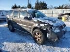 2007 Ford Escape XLT